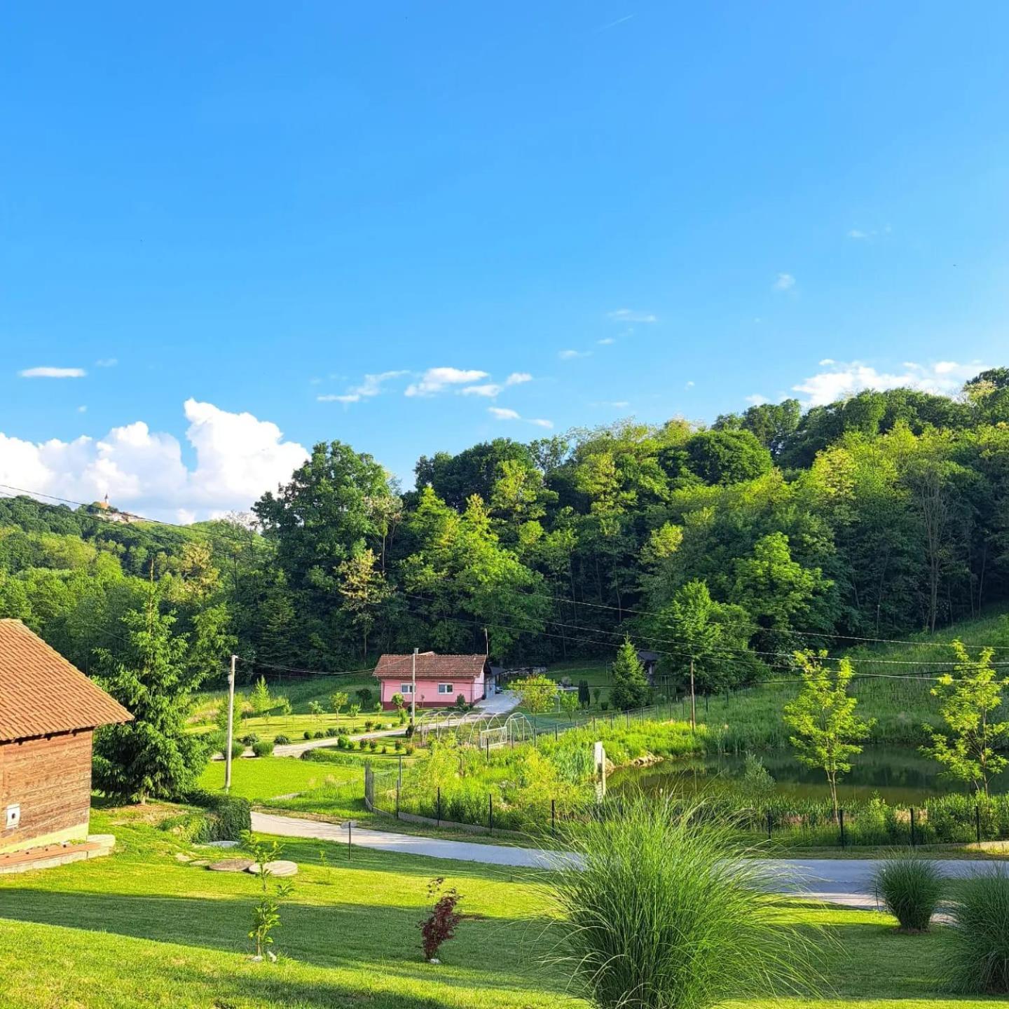 Villa Magnolia Muraszentmárton Kültér fotó
